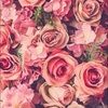 rosegold1461